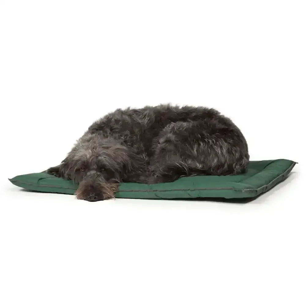 Dark green quilted duvet dog bed by danish design county with a fluffy dark gray shaggy dog for a practical solution