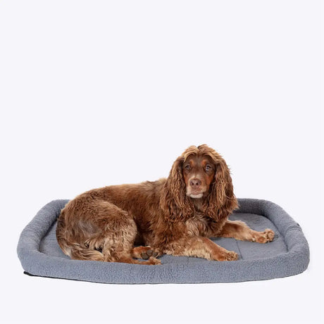 Gray plush rectangular dog bed with raised edges and soft cushion by danish design essentials mattress charcoal