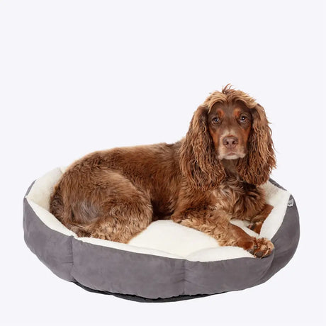 A cozy danish design essentials quilted bed charcoal with gray and cream plush cushioned interior for dogs