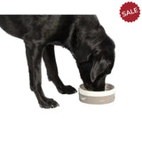 Danish Design Fatface Marching Dogs Pet Bowl Medium Dog Bowl