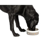 Gray and white danish design fatface marching dogs pet bowl with subtle patterned design for dog food or water