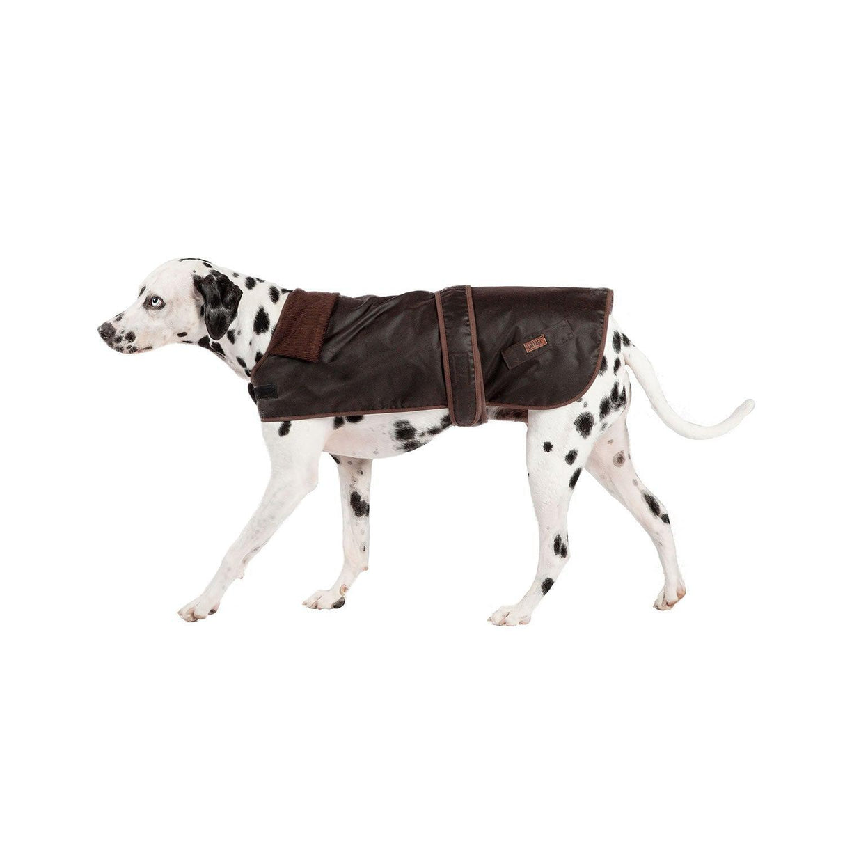 Danish Design Fatface Sussex Dog Coat  Dog Coat
