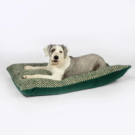 Danish Design Green Herringbone Fleece Deep Duvet Dog Bed Medium Green Dog Bed Barnstaple Equestrian Supplies