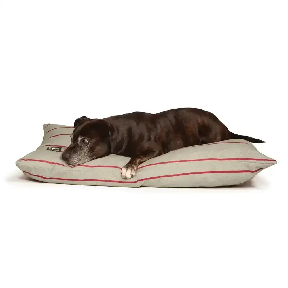 Beige danish design heritage heritage deep duvet dog bed with thin red stripes and soft cushioned surface in traditional british design
