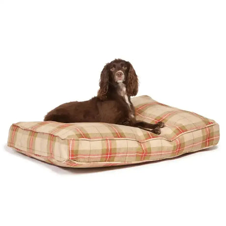 Dining design newton box bed dog bed with beige red and green plaid pattern perfect for cozy pet naps