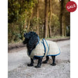 Danish Design Tweed Dog Coat 25 cm (10") Green/Tan Dog Coat