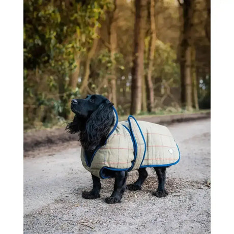 Beige and blue plaid danish design tweed dog coat with red thread accents made from showerproof tweed fabric