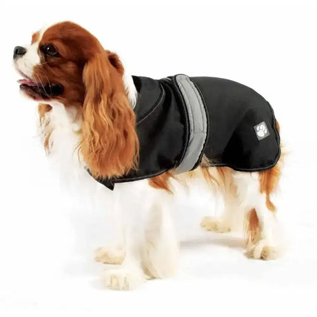 Black and gray waterproof danish design ultimate 2-in-1 dog coat black with reflective striping on the back side