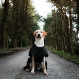 A golden labrador wearing a danish design ultimate 2-in-1 dog coat black with a hood and white collar