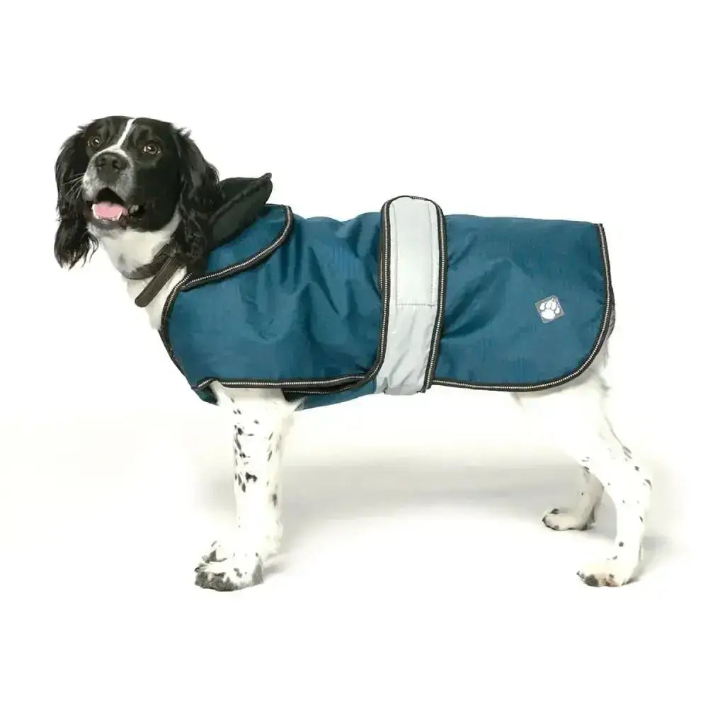 Teal and gray reflective danish design ultimate 2-in-1 dog coat blue with black trim for safety and warmth