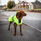 Bright neon green waterproof danish design ultimate 2-in-1 dog coat with reflective gray straps and black trim in vis yellow