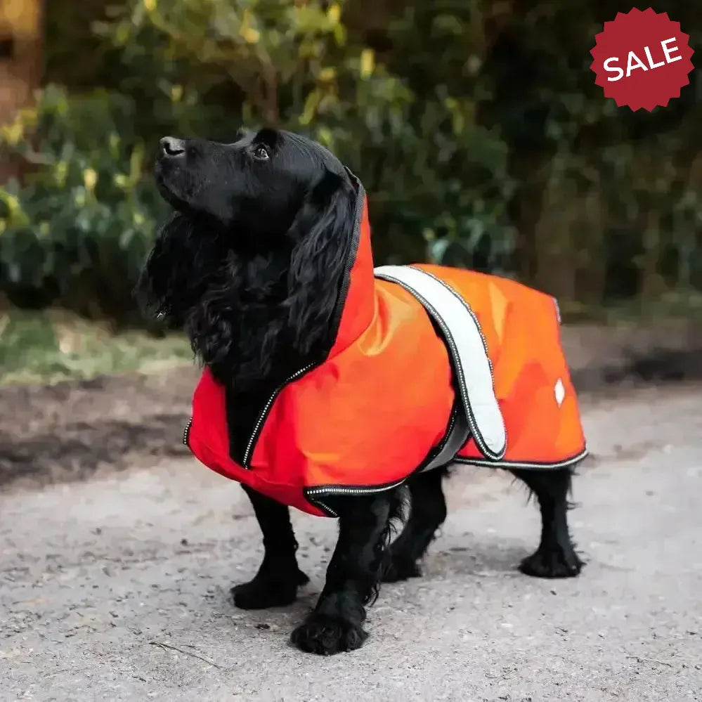 Danish Design Ultimate 2-In-1 Dog Coat Orange 25 cm (10") Orange Dog Coat