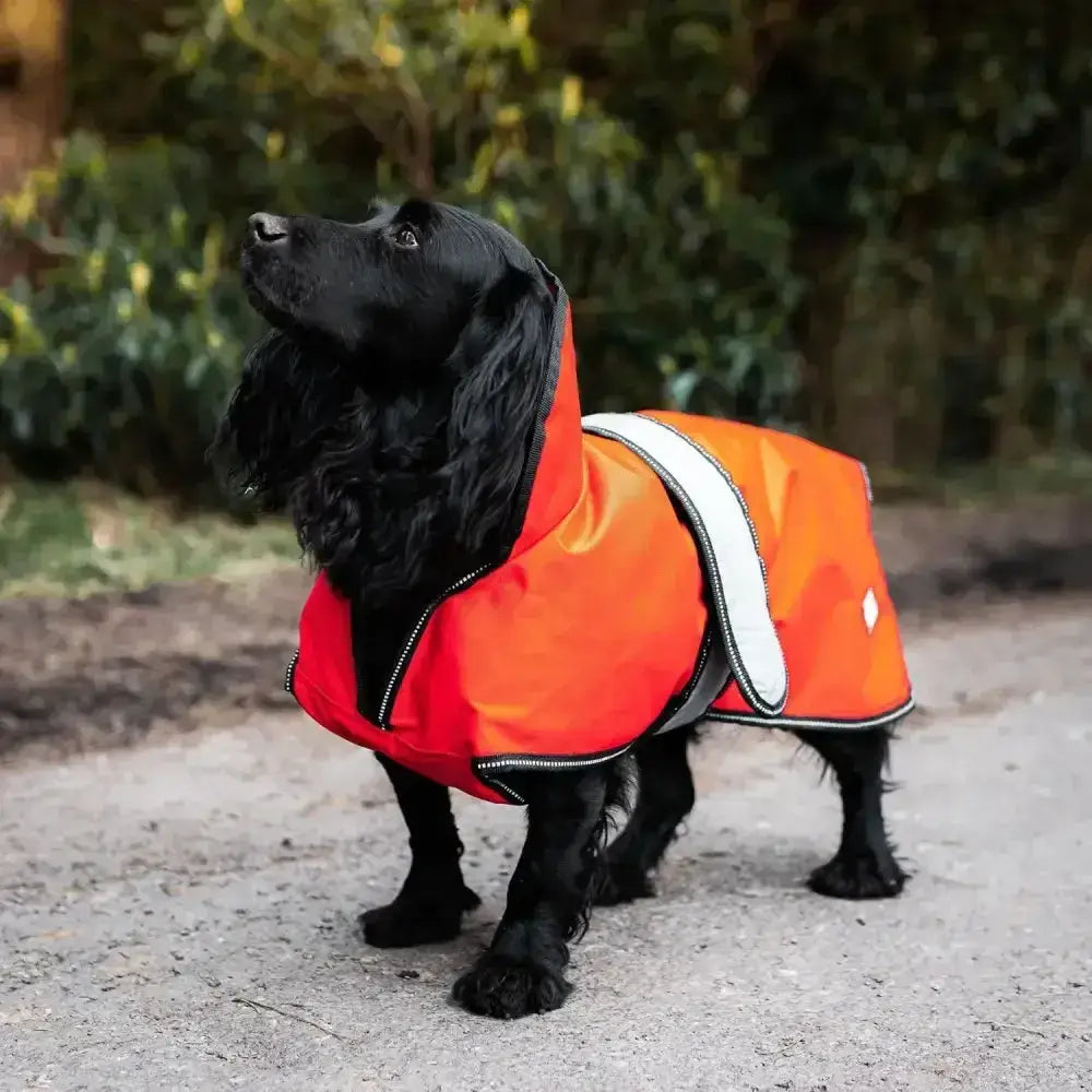 Bright orange danish design ultimate 2-in-1 dog coat with reflective white stripes and black trim waterproof design