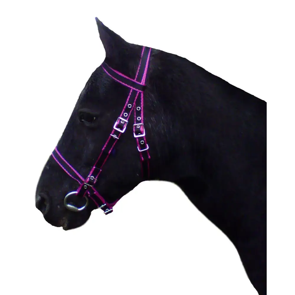 Dartmoor Bridle Navy/Red Mini 