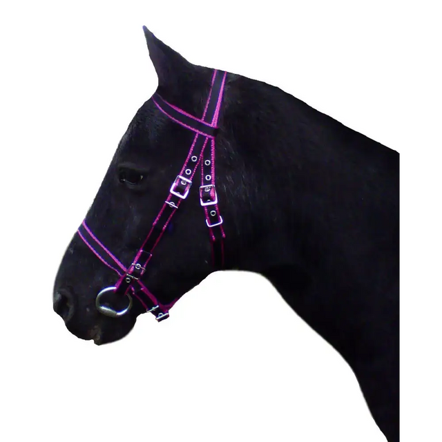 Dartmoor Bridle Navy/Red Mini 
