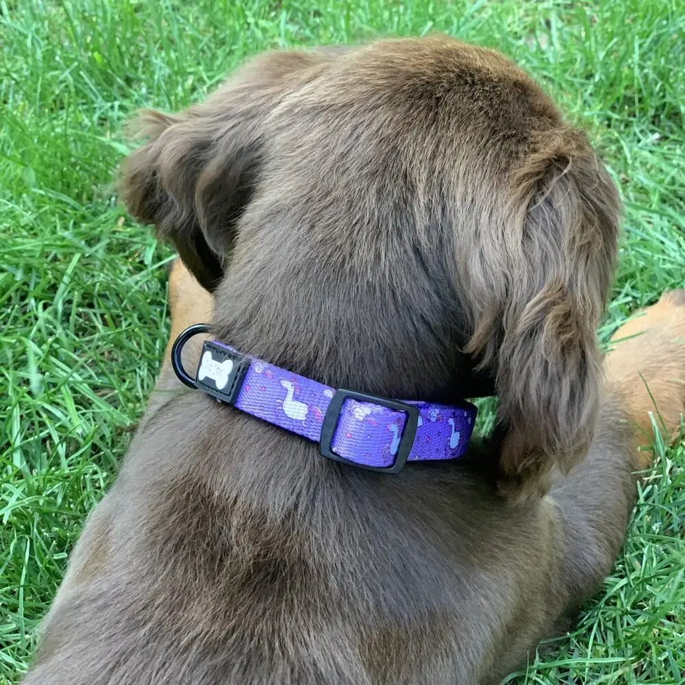 Purple daydreams and unicorns collar with white bone and duck patterns and black buckle for pup chic style