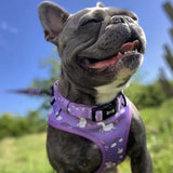 Purple unicorns collar dog harness with black buckle perfect for pup chic style and tactical dog collars fans