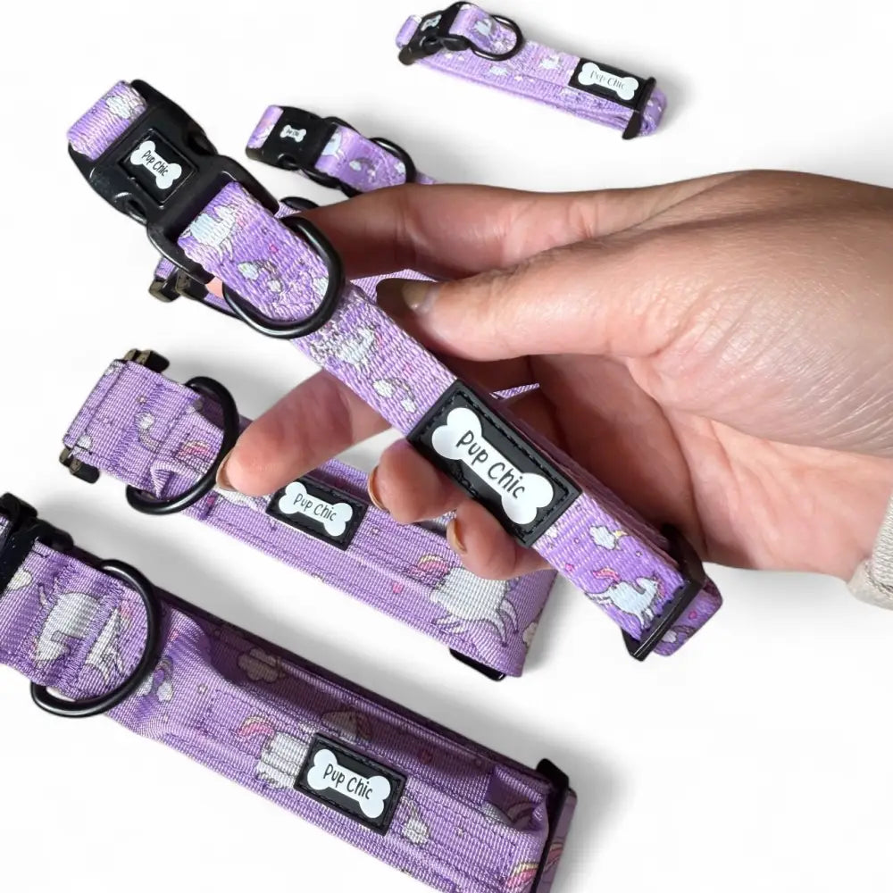 Purple unicorns collar with black buckle and bone-shaped brand tag perfect for pup chic style and tactical dog collars