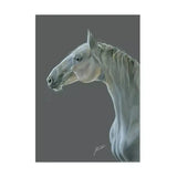 Deckled edge eureka a3 print featuring a detailed white horse head against gray, cello wrapped with backing board