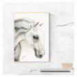 A detailed black and white pencil sketch of a flea bitten grey horse head in profile framed in a light wood deckled edge print