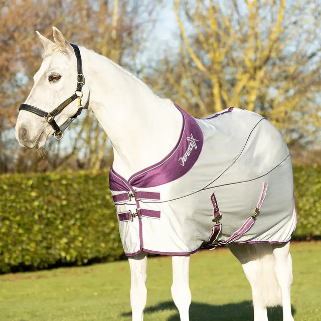 A sleek silver and purple defencex shield sport air cooler rug with satin trim and defendex logo on the collar
