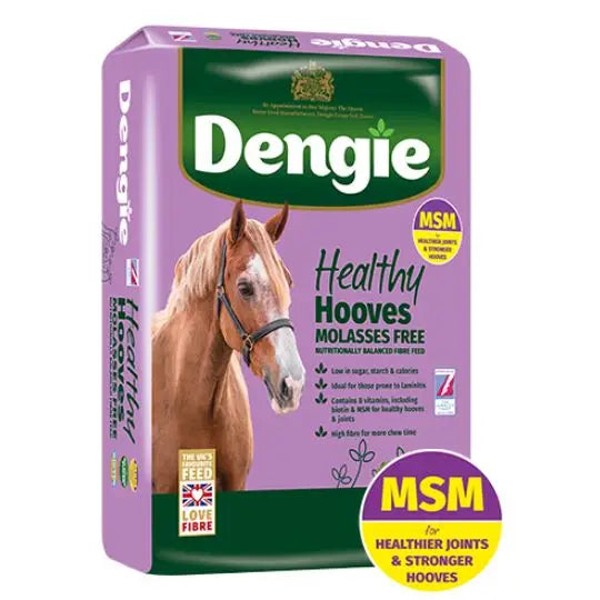 Dengie Healthy Hooves Molasses Free Barnstaple Equestrian