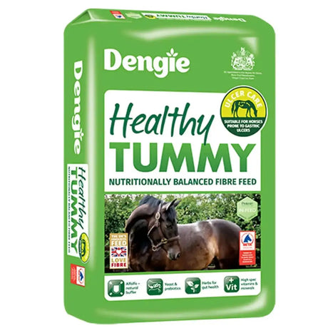 Dengie Healthy Tummy - 20kg Horse Feeds Barnstaple Equestrian Supplies