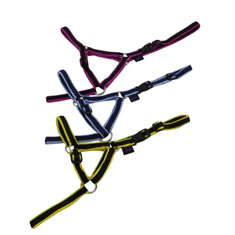 Dinky Headcollar - Mini, Alpaca, Llama, Sheep, Foal XXX Small Black 