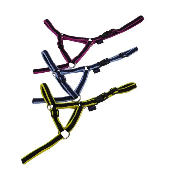 Three dinky headcollar mini halters in purple, navy blue with white stripes, and yellow with black stripes made of 16mm soft webbing with plastic clip