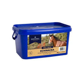 Blue plastic container of dodson & horrell echinacea supports immunity horse supplement for natural health