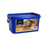 Blue plastic Dodson & Horrell container of echinacea horse supplement that supports immunity and health