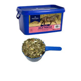 Blue plastic container of dodson and horrell milk thistle horse supplement with matching scoop of dried herb flakes