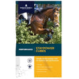 Brown horse with rider in equestrian gear next to dodson and horrell performance staypower cubes 20 kg bag