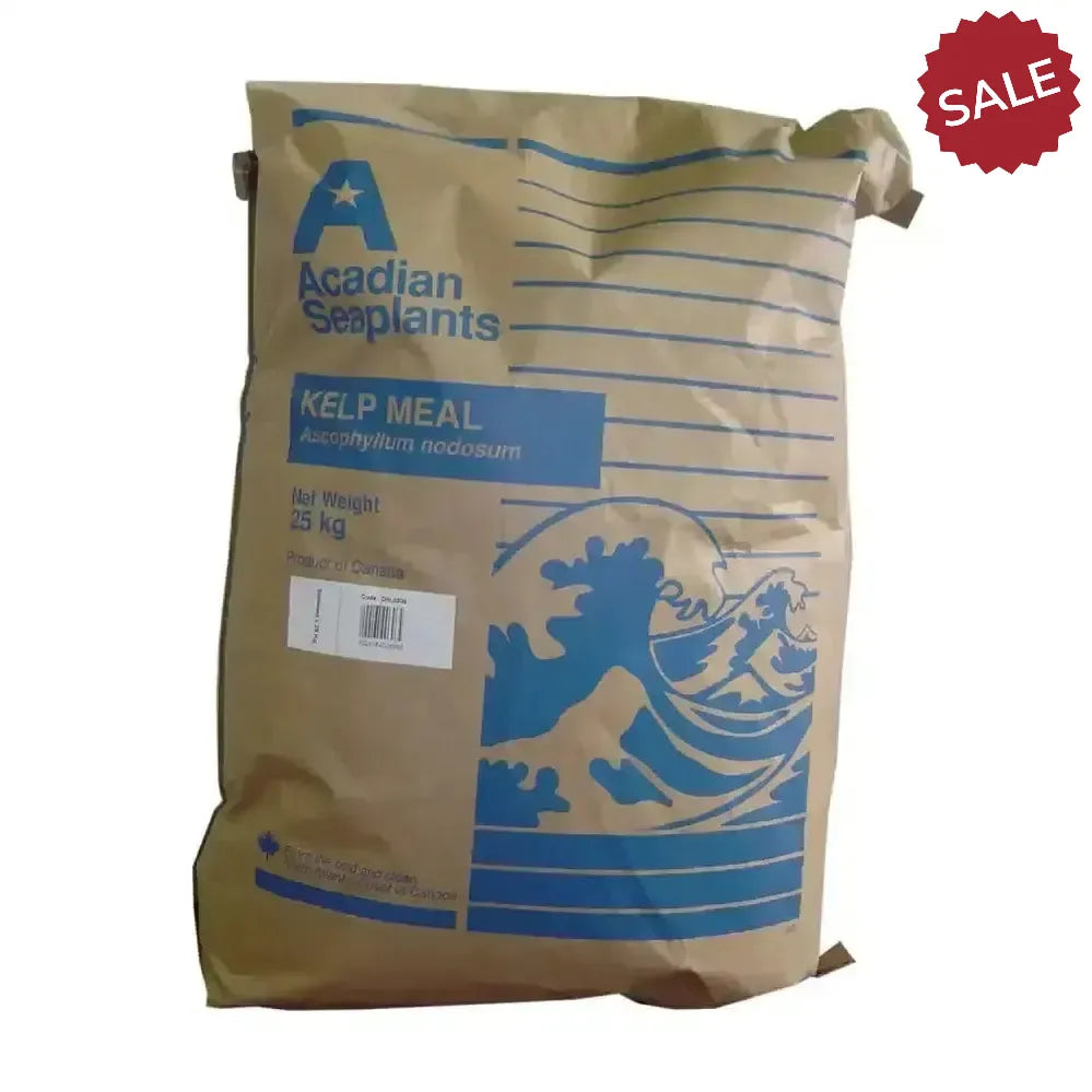 Dodson & Horrell Seaweed 2kg Horse Supplements