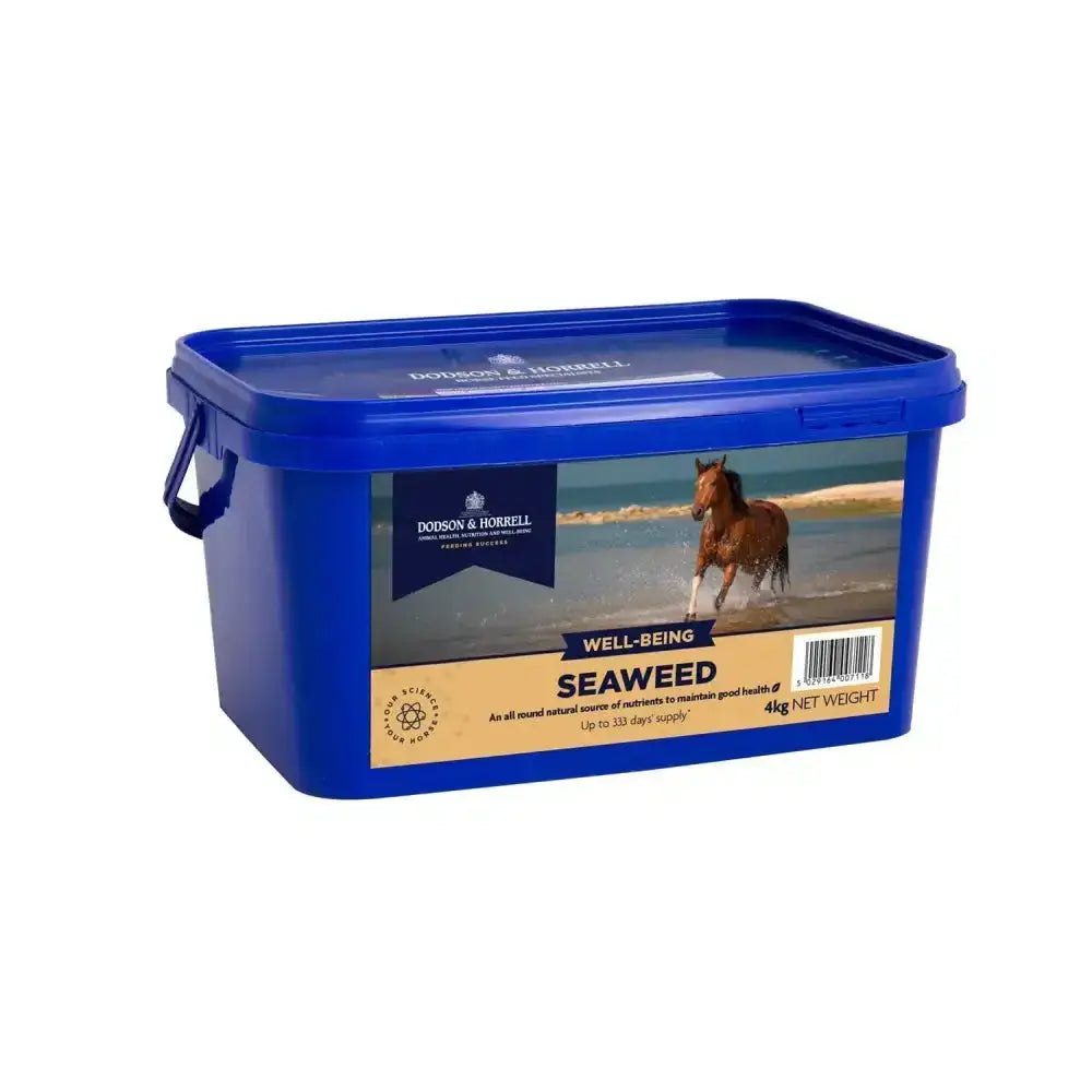 Blue plastic container of dodson & horrell seaweed horse feed 4kg net weight all-round natural source horrell seaweed