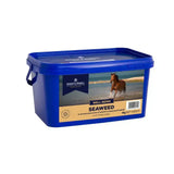 Blue plastic container of dodson & horrell seaweed horse feed 4kg net weight all-round natural source horrell seaweed