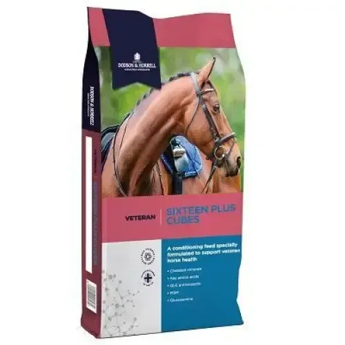 Dodson & Horrell Sixteen Plus Cubes 20 kg Horse Feeds