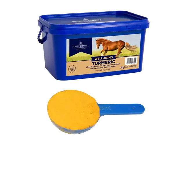 Blue plastic container of dodson and horrell turmeric horse supplement with matching scoop of bright yellow powder to promote healthy skin