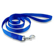 Bright blue woven nylon dog lead with silver metal clasp perfect for everyday dog supplies and walks