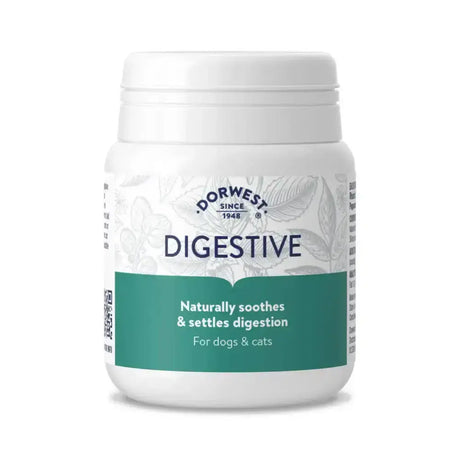 White plastic jar with teal label and white lid of dorwest herbs digestive to help settle tummies on car journeys
