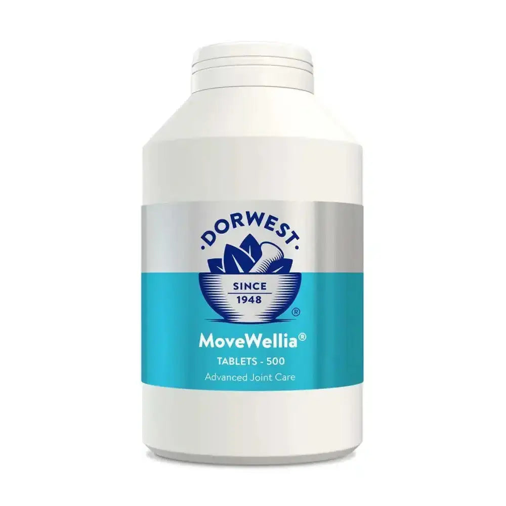 White plastic bottle of dorwest herbs movewellia advanced joint care tablets 500 count to support dogs experiencing joint issues