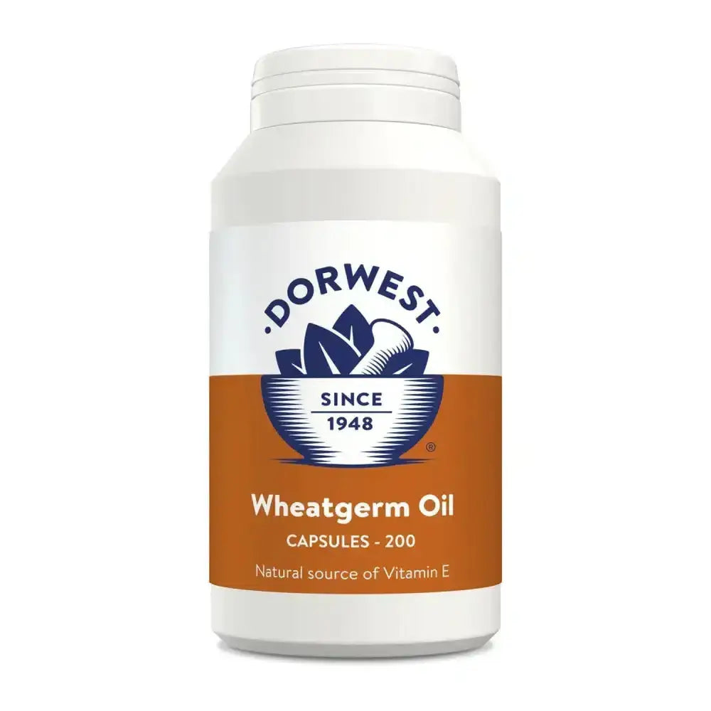 White plastic bottle of dorwest herbs wheatgerm oil capsules 200 count for dogs and cats health care