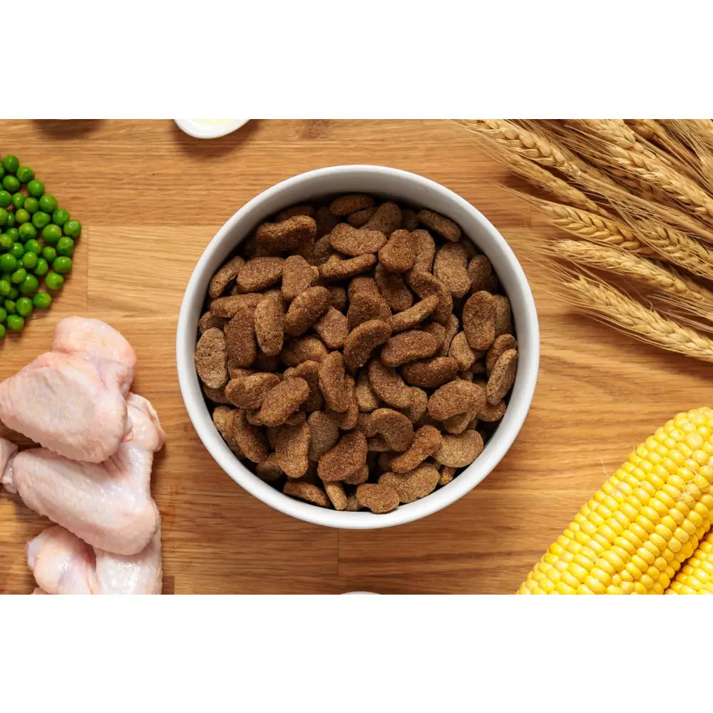 Brown heart-shaped kibble in a white bowl of dr john gold rich balanced dog food with slow releasing carbohydrates