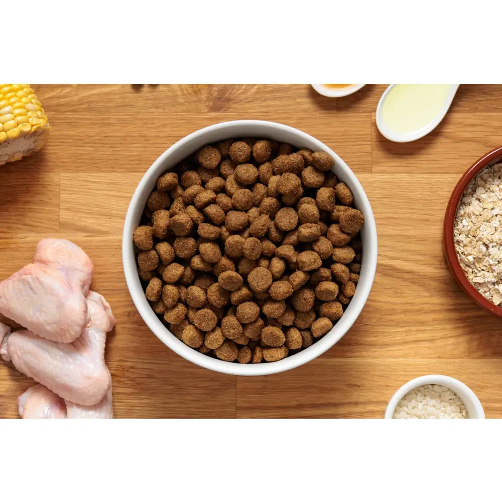 A white ceramic bowl filled with brown round kibble pellets of dr john hypoallergen chicken dog food with oats