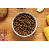 White ceramic bowl filled with brown john hypoallergen lamb kibble for hypoallergenic lamb dog food