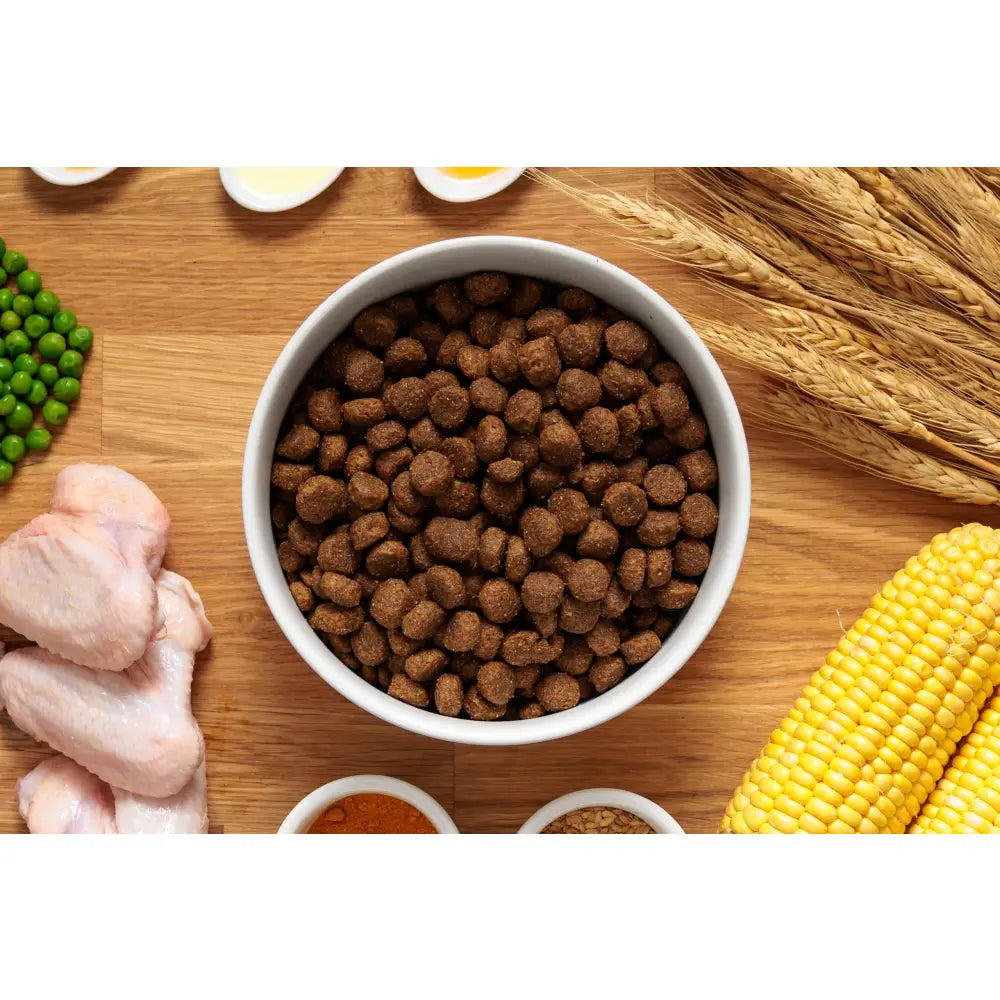 Brown kibble in a white bowl showing john titanium’s dog food with a daily feeding guide for easy use