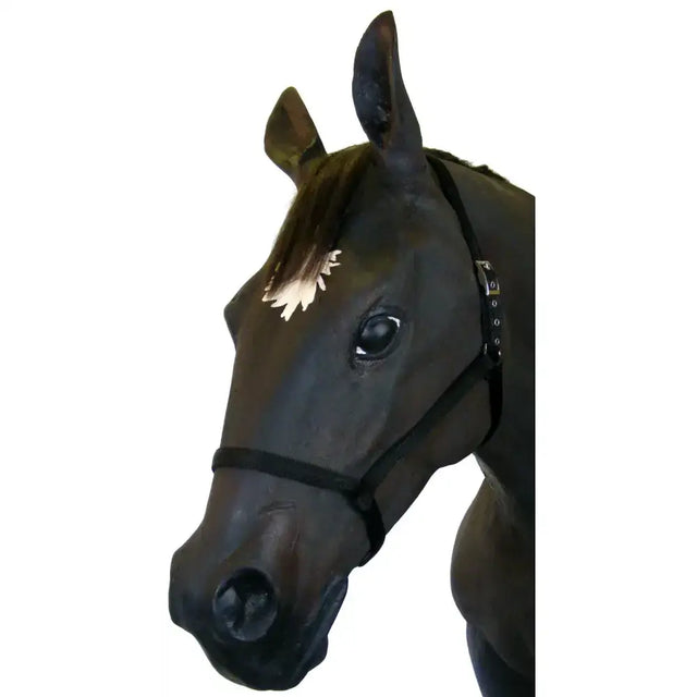 Black horse head pony driving underhalter with white star marking and 19mm soft webbing black bridle detail