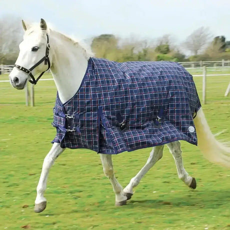 Blue plaid duraproof 300g horse blanket with red white grid pattern and black buckles from rhinegold zeus outdoor rug line