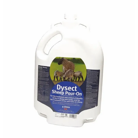 Dysect Sheep Pour 5 litre Fly Control for Animals