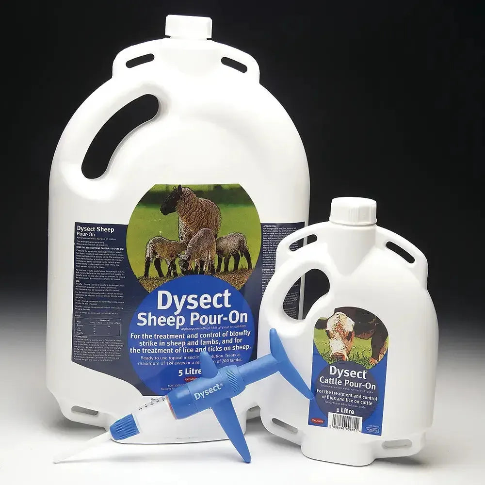 Dysect Sheep Pour 5 litre Fly Control for Animals